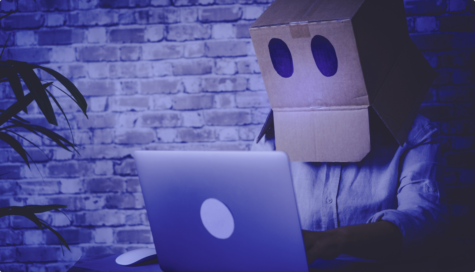 Breach Insurance | Regulated Crypto Insurance